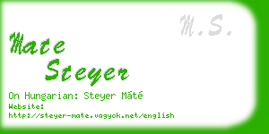 mate steyer business card