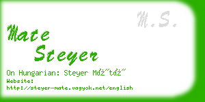 mate steyer business card